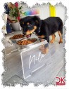 Alzaciotola per Cani e Gatti in Plexiglass Personalizzato - Gadget Personalizzati - dkstore